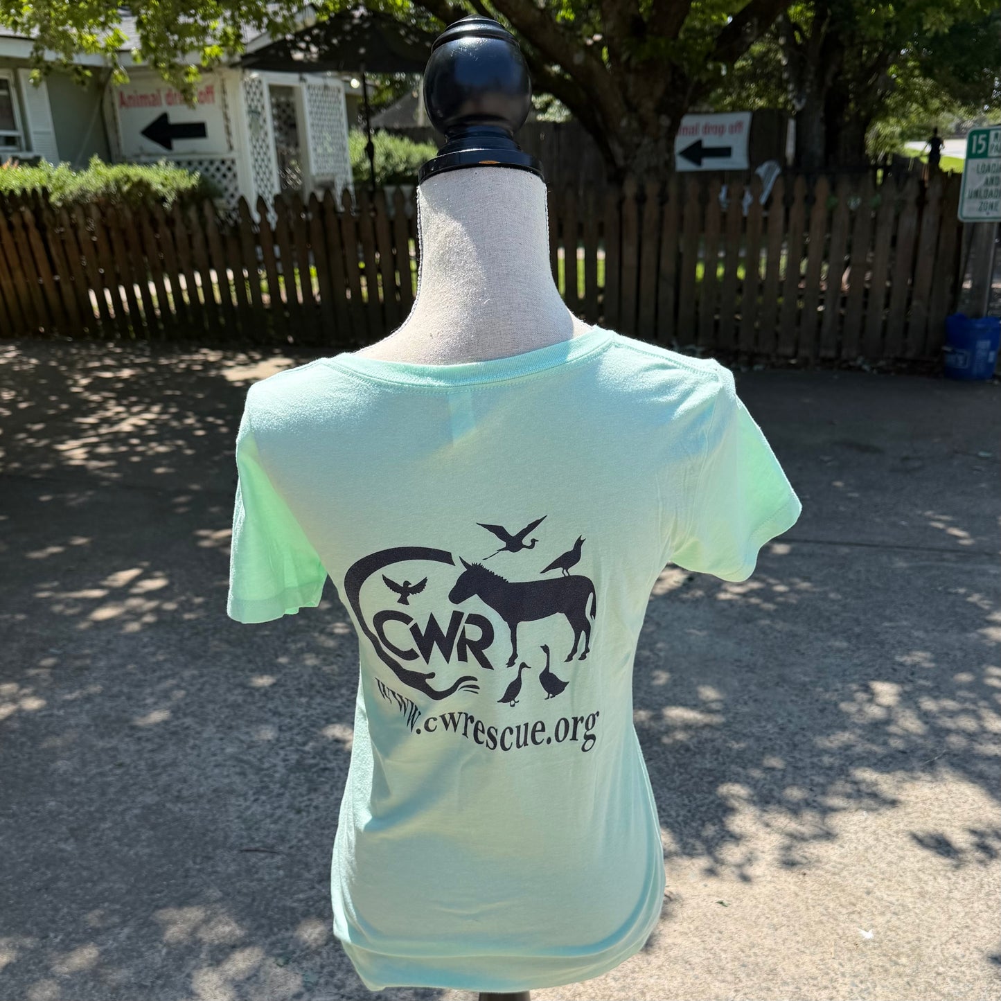 CWR Ladies T-Shirt (Mint Green)