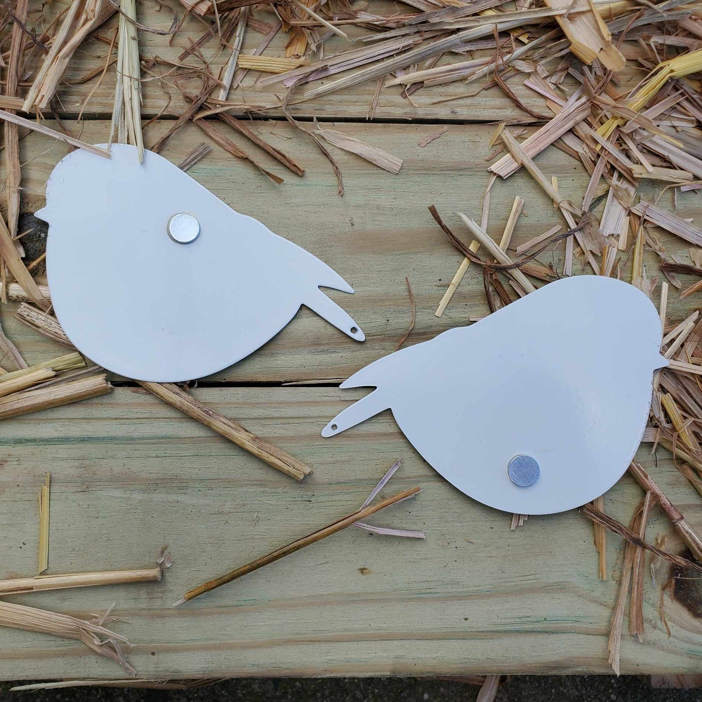 Bird Magnets