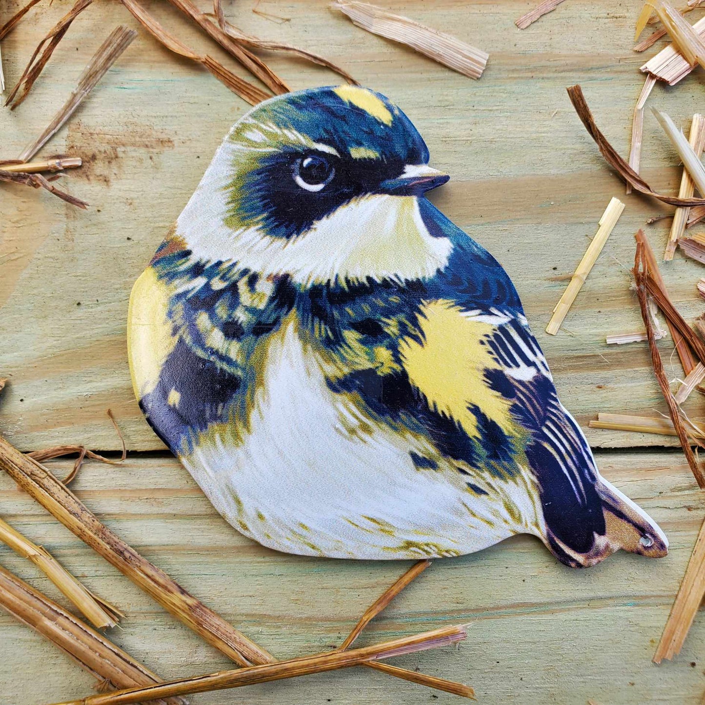 Bird Magnets