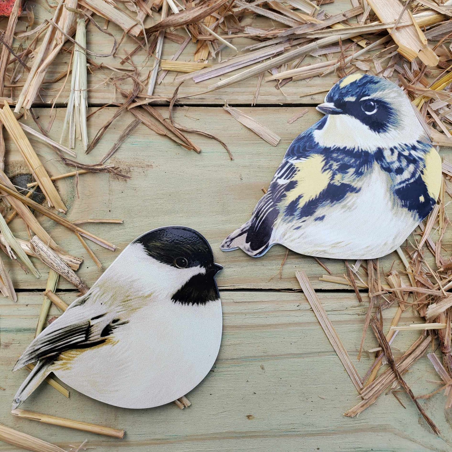 Bird Magnets