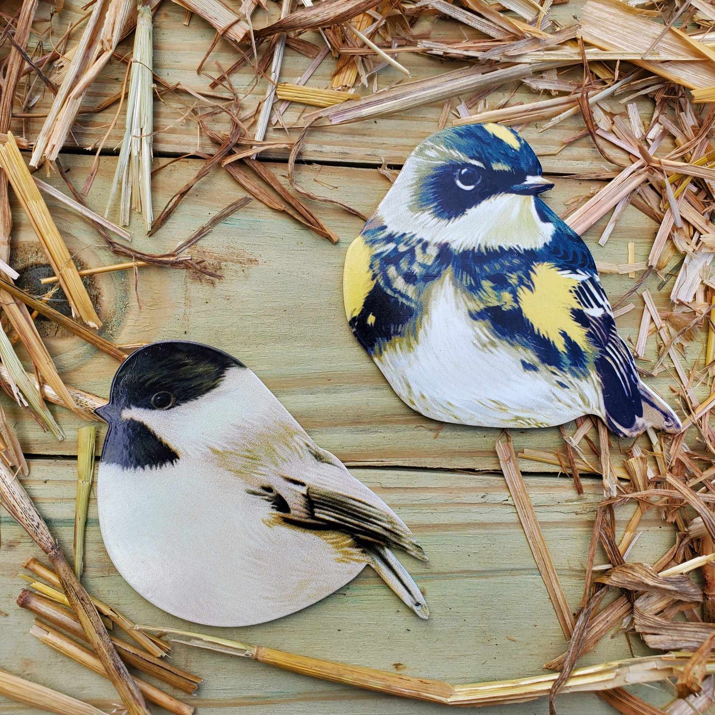 Bird Magnets
