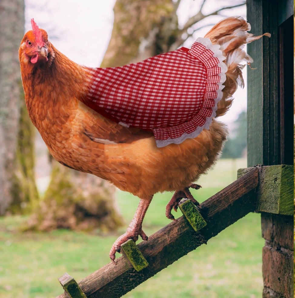 Chicken Saddle Apron (Polka Dots)