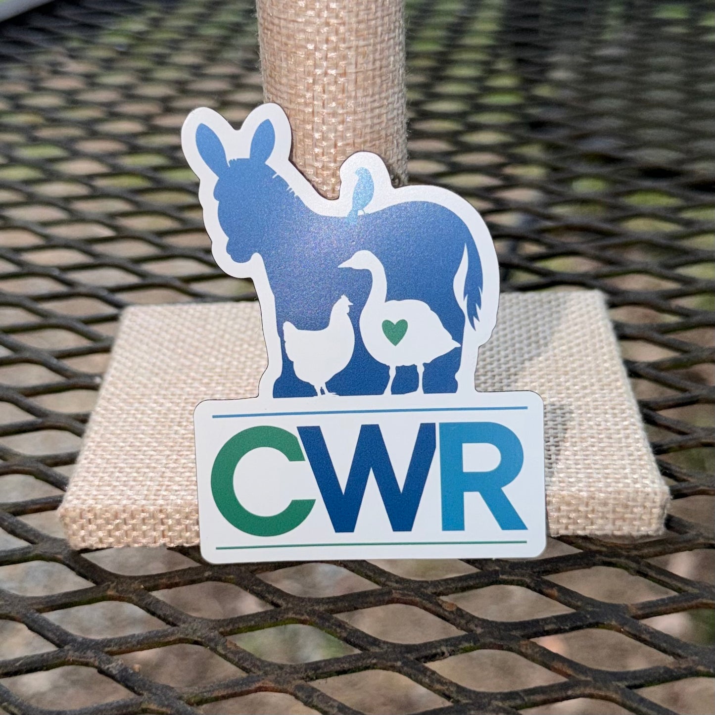 CWR Magnet