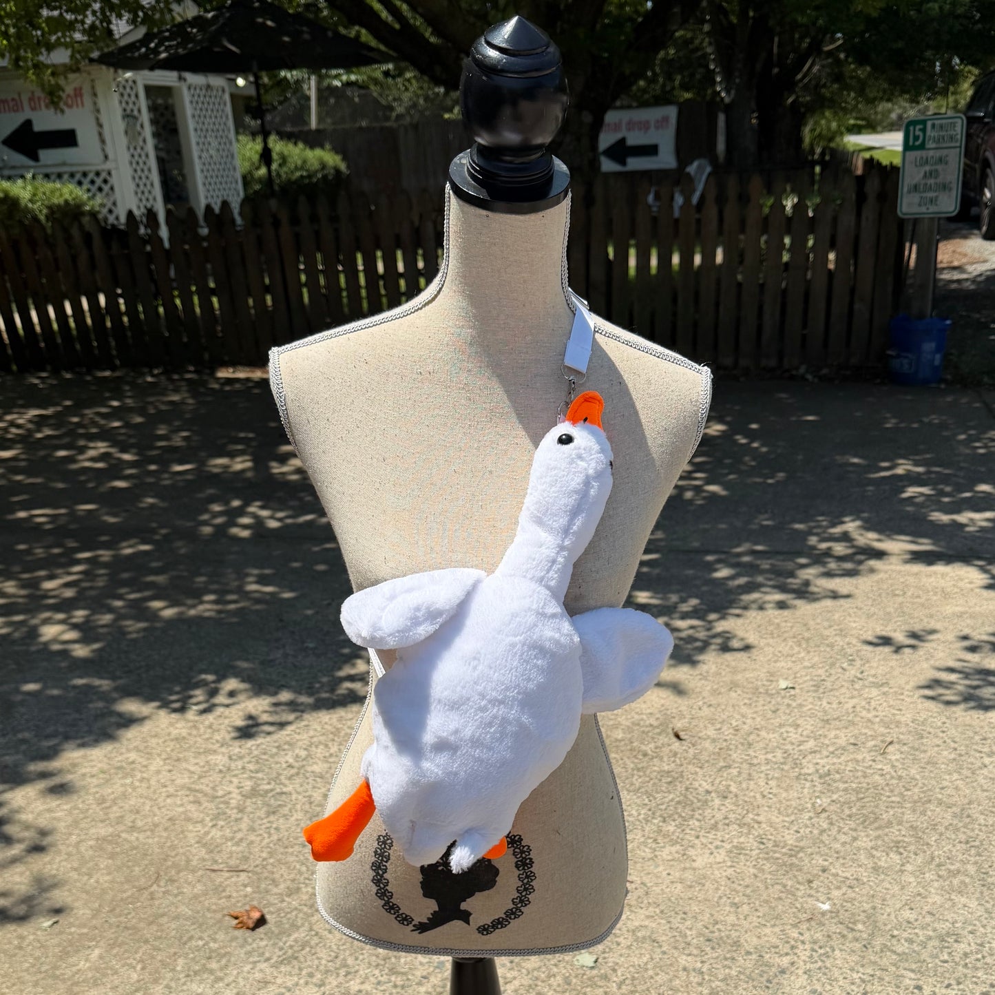Duck Sling Bag