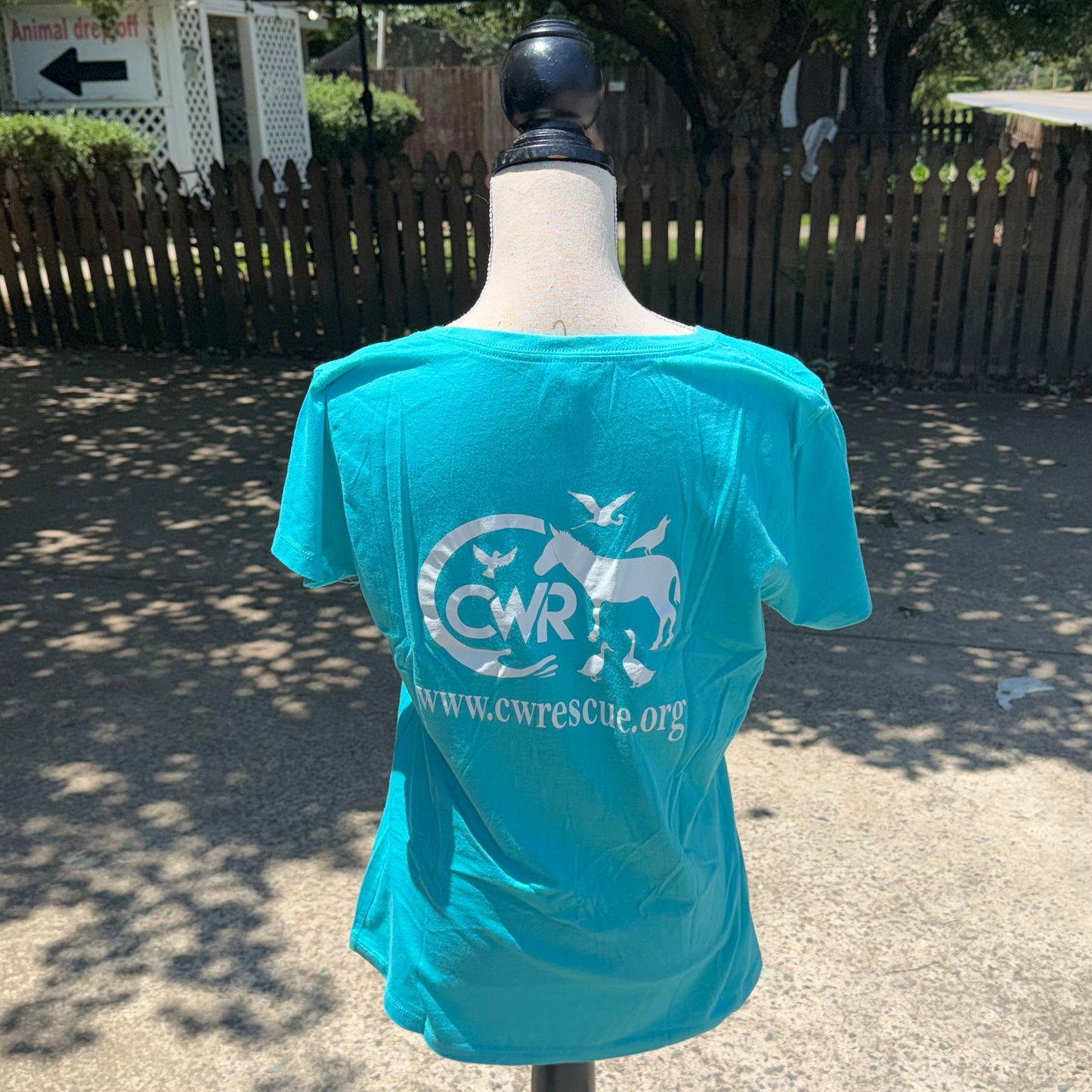 CWR Ladies T-Shirt (Teal)