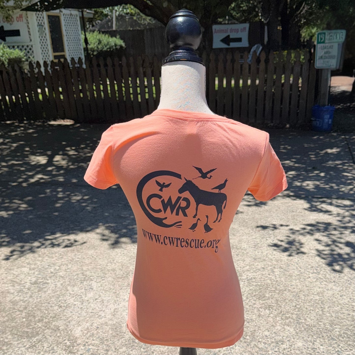 CWR Ladies T-Shirt (Orange)