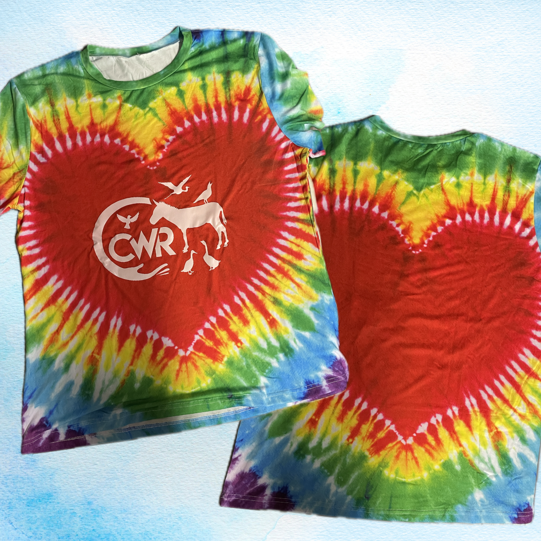 Tie-Dye CWR Logo Short Sleeve Shirt ❤️🔥