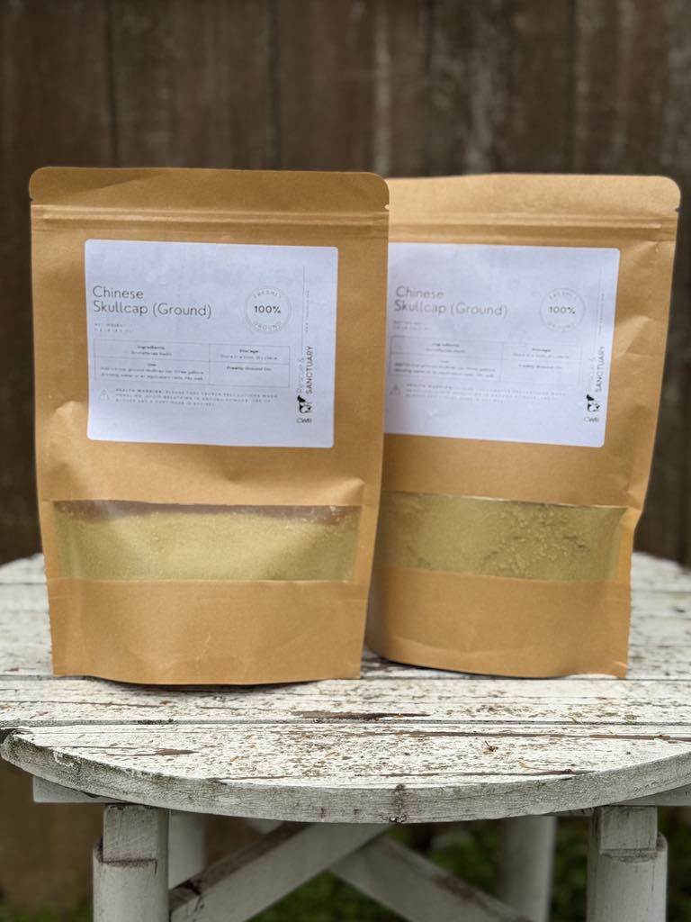 Chinese Skullcap for At-Home Flocks (Made to Order)