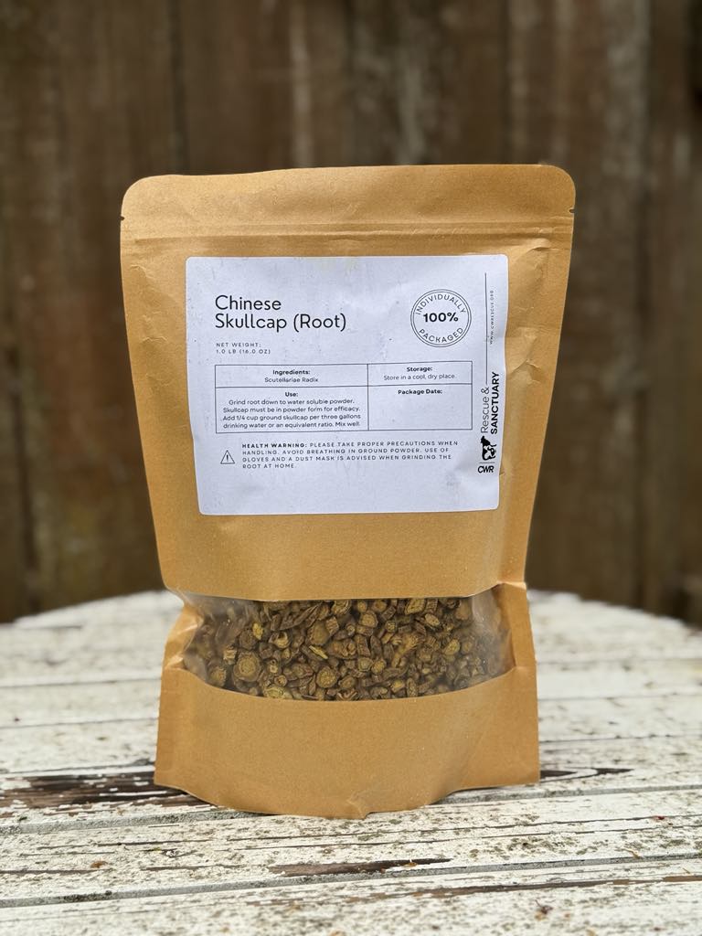 Chinese Skullcap for At-Home Flocks (Made to Order)