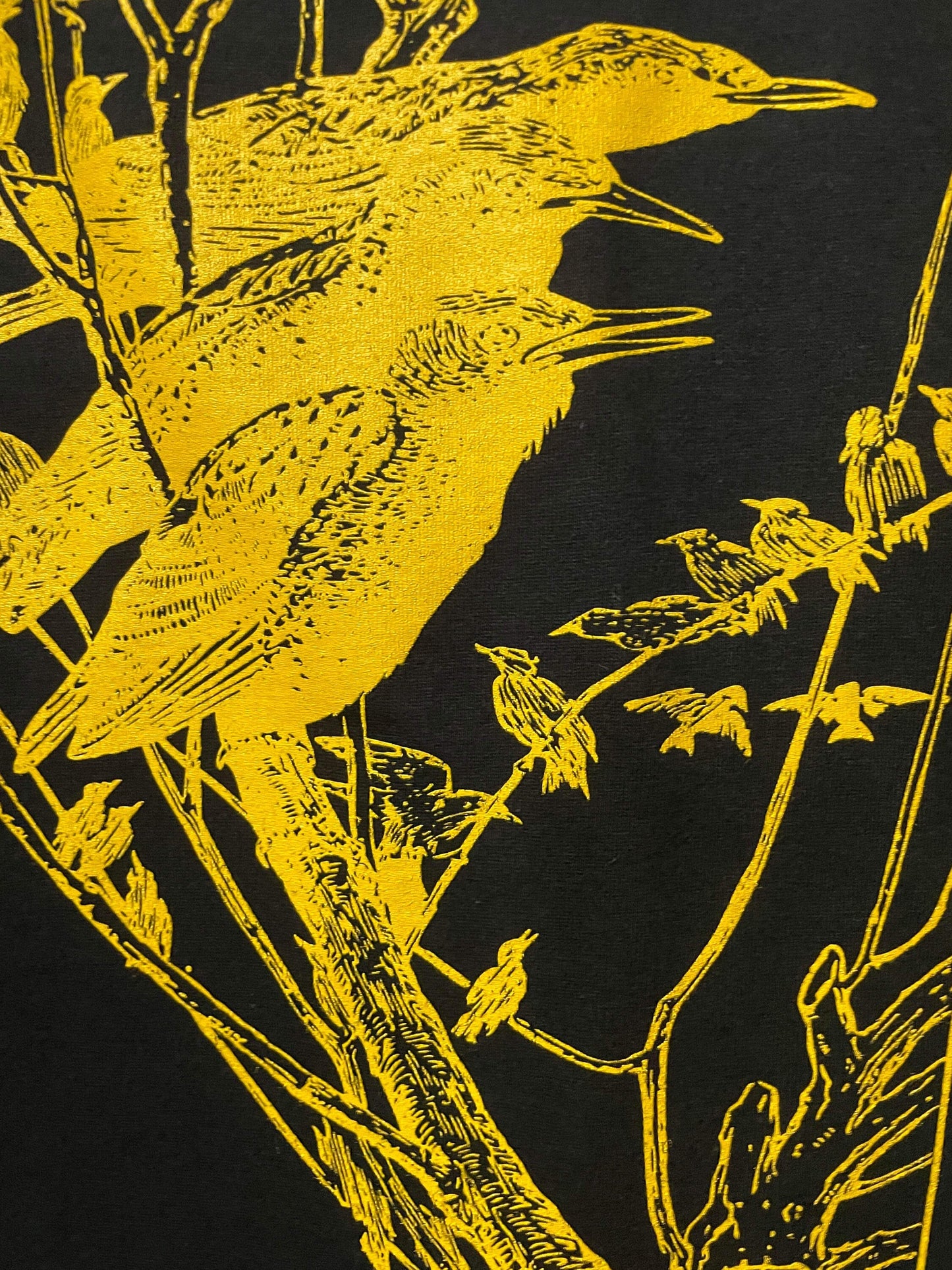 Birdsong Brewing Birds & Brews Event T-Shirt