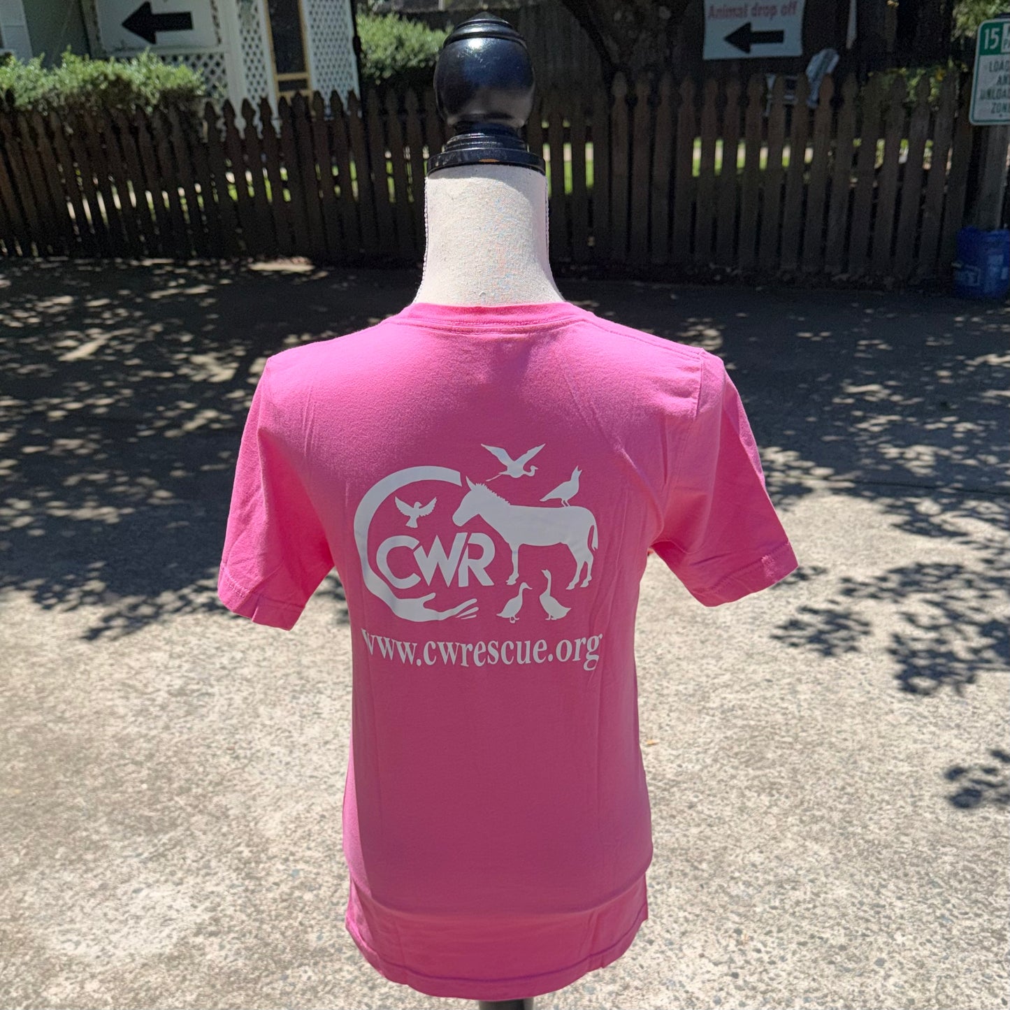 CWR Ladies T-Shirt (Pink)