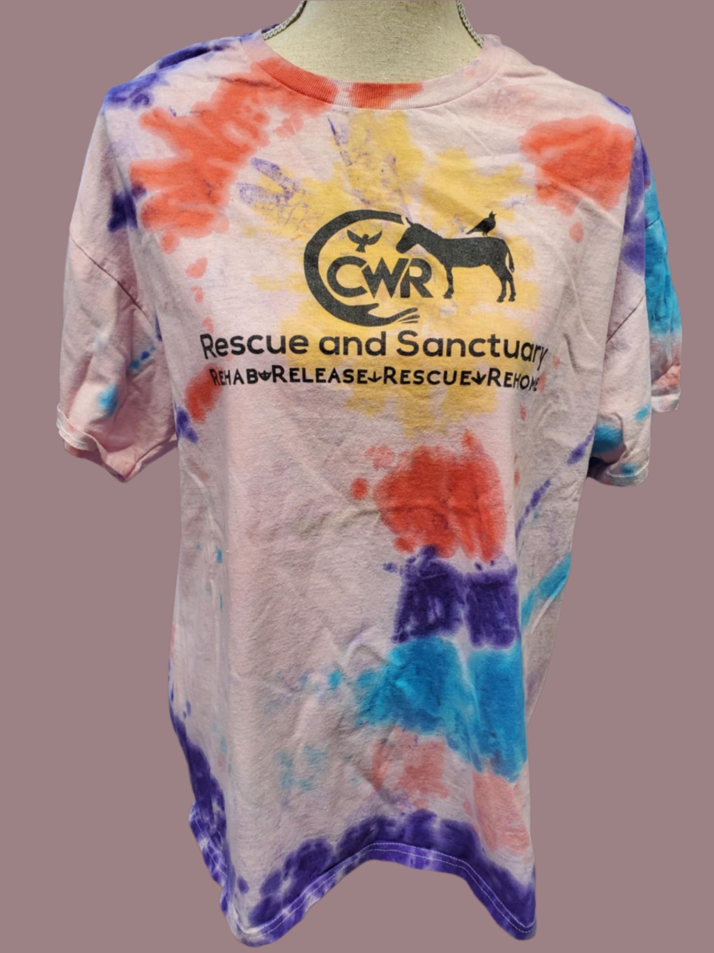 Famous Tie-Dyed Shirts!