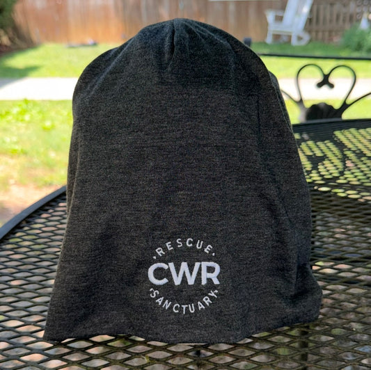 CWR Beanie (Dark Gray)