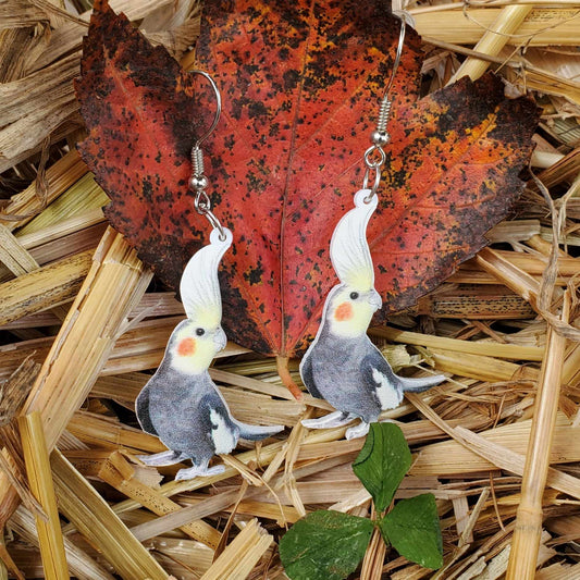 Cockatiel Earrings