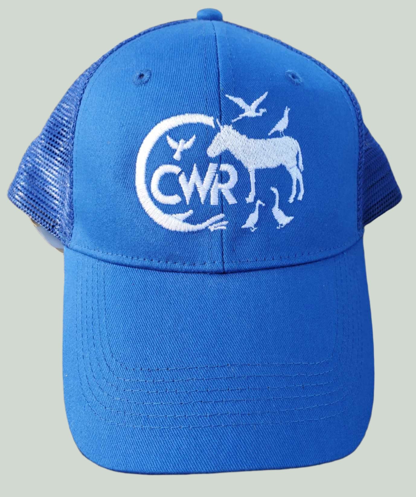 CWR Mesh Caps