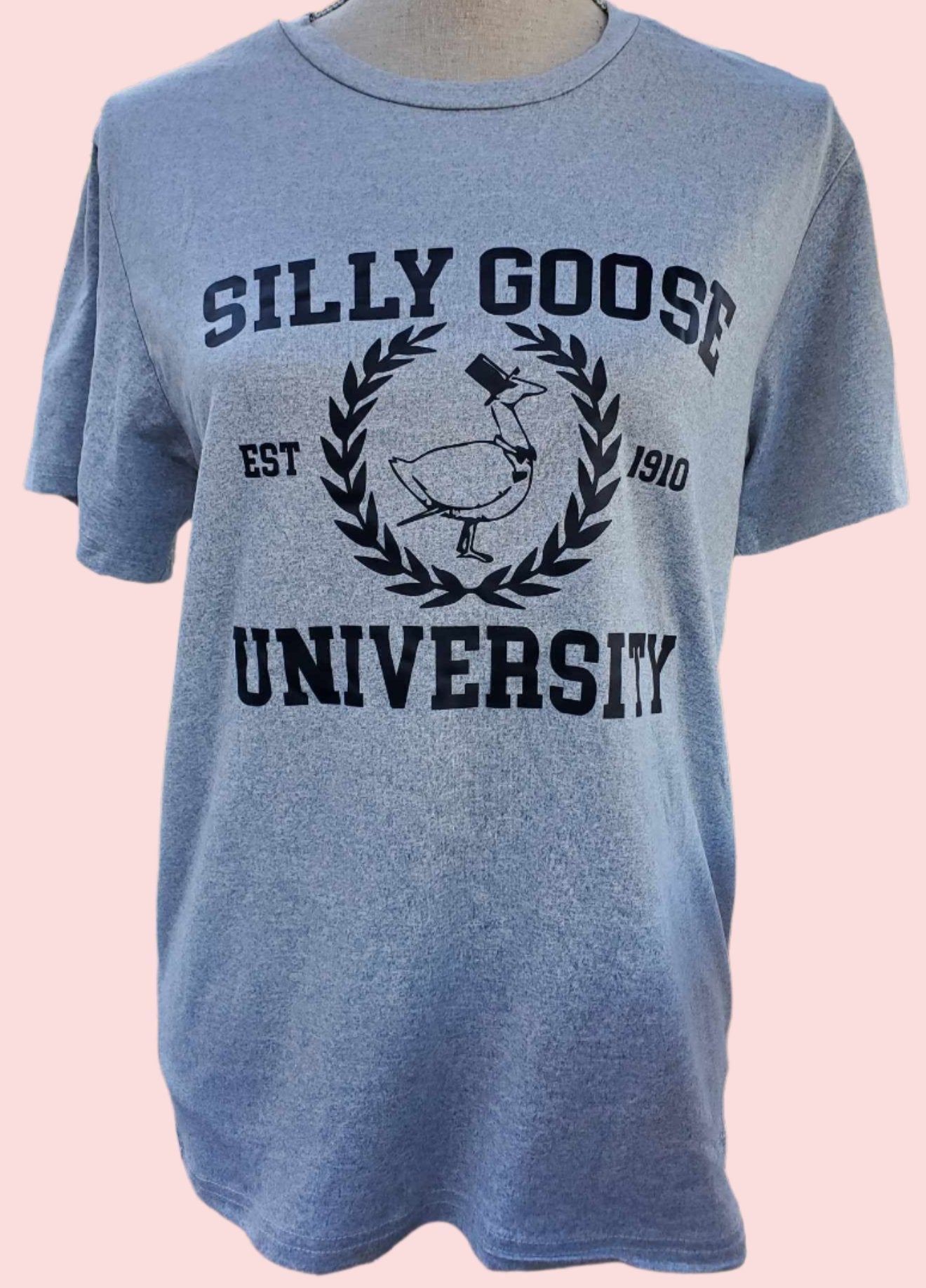 Silly Goose University T-Shirt