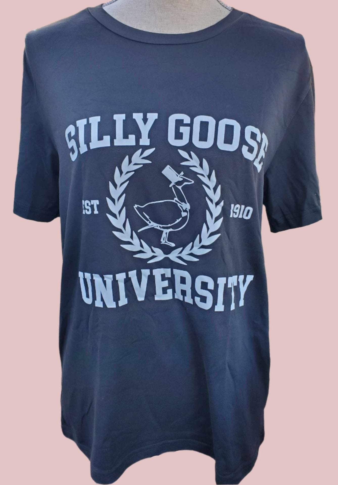 Silly Goose University T-Shirt