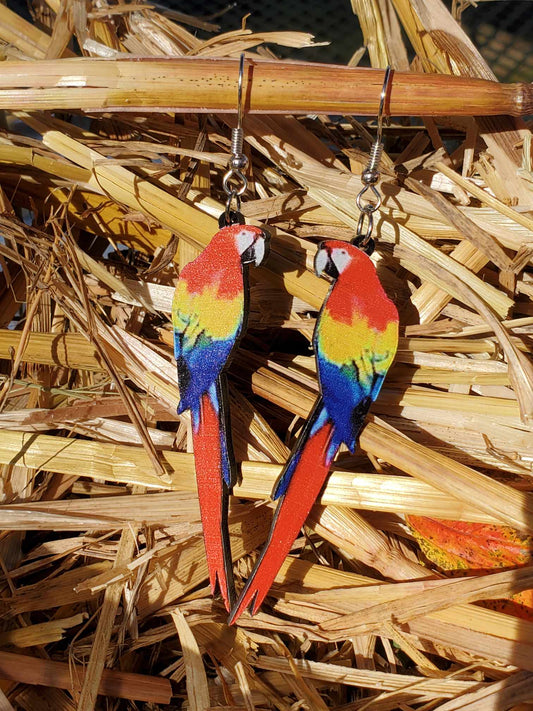 Realistic Macaw Dangle Earrings