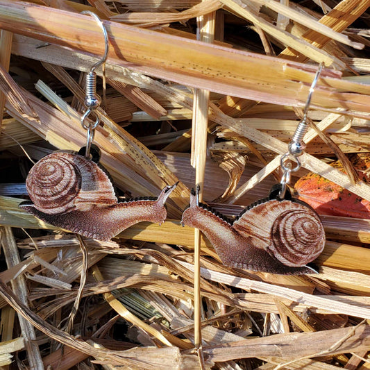 Snail Earrings