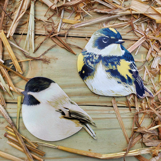 Bird Magnets