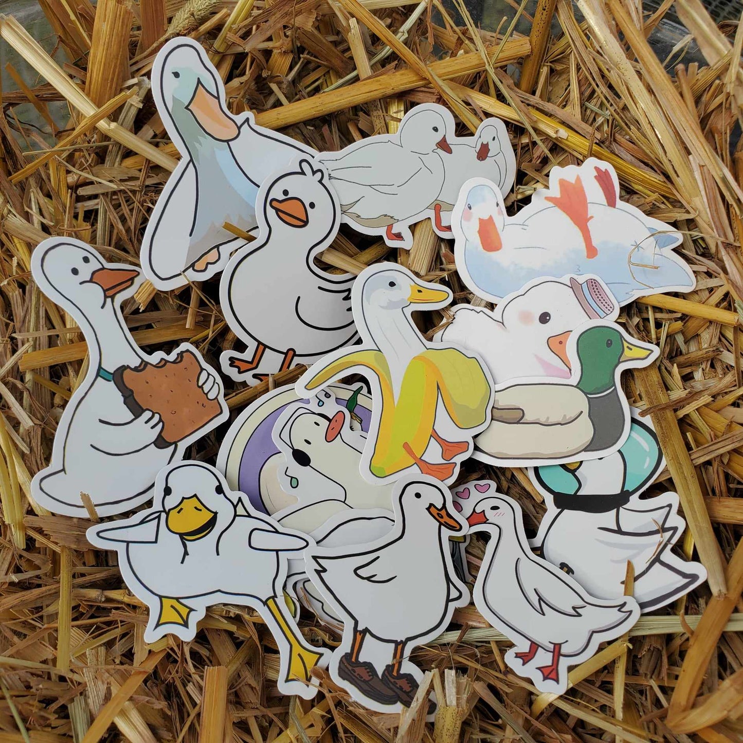 Random Assortment of 5 Duck Stickers!