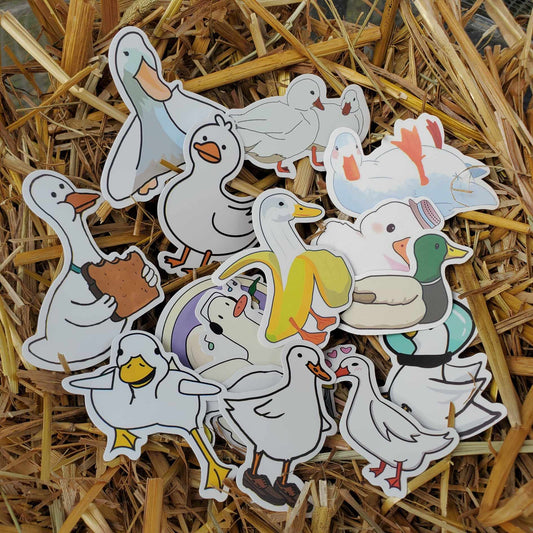 Random Assortment of 5 Duck Stickers!