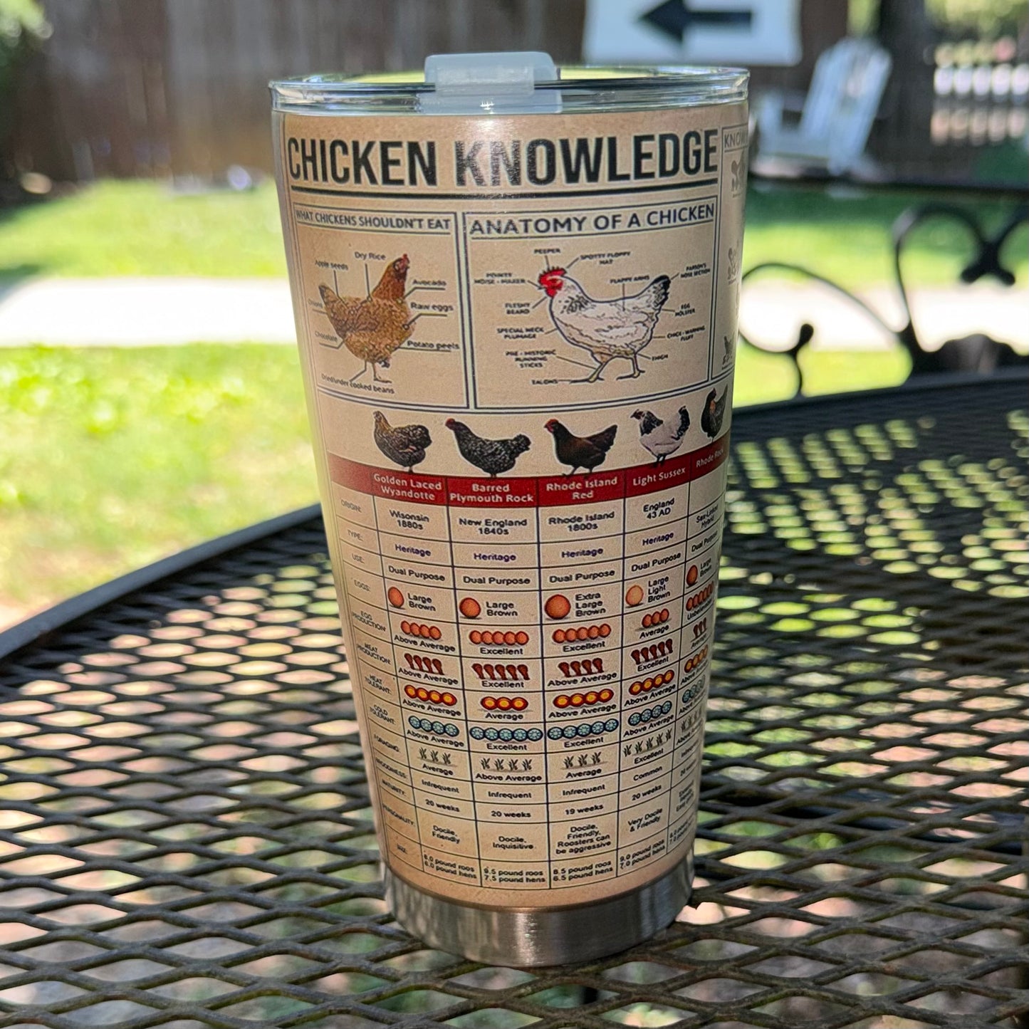 “Chicken Knowledge” Travel Mug