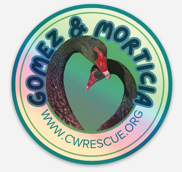 Gomez and Morticia holographic sticker