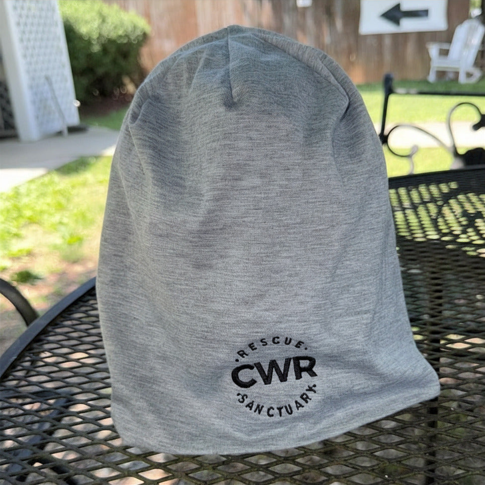 CWR Beanie (Gray)