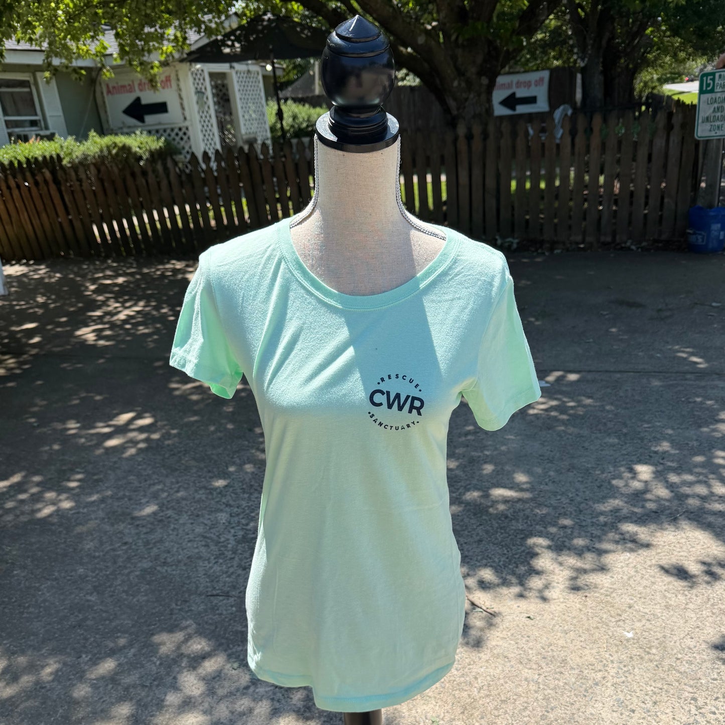 CWR Ladies T-Shirt (Mint Green)