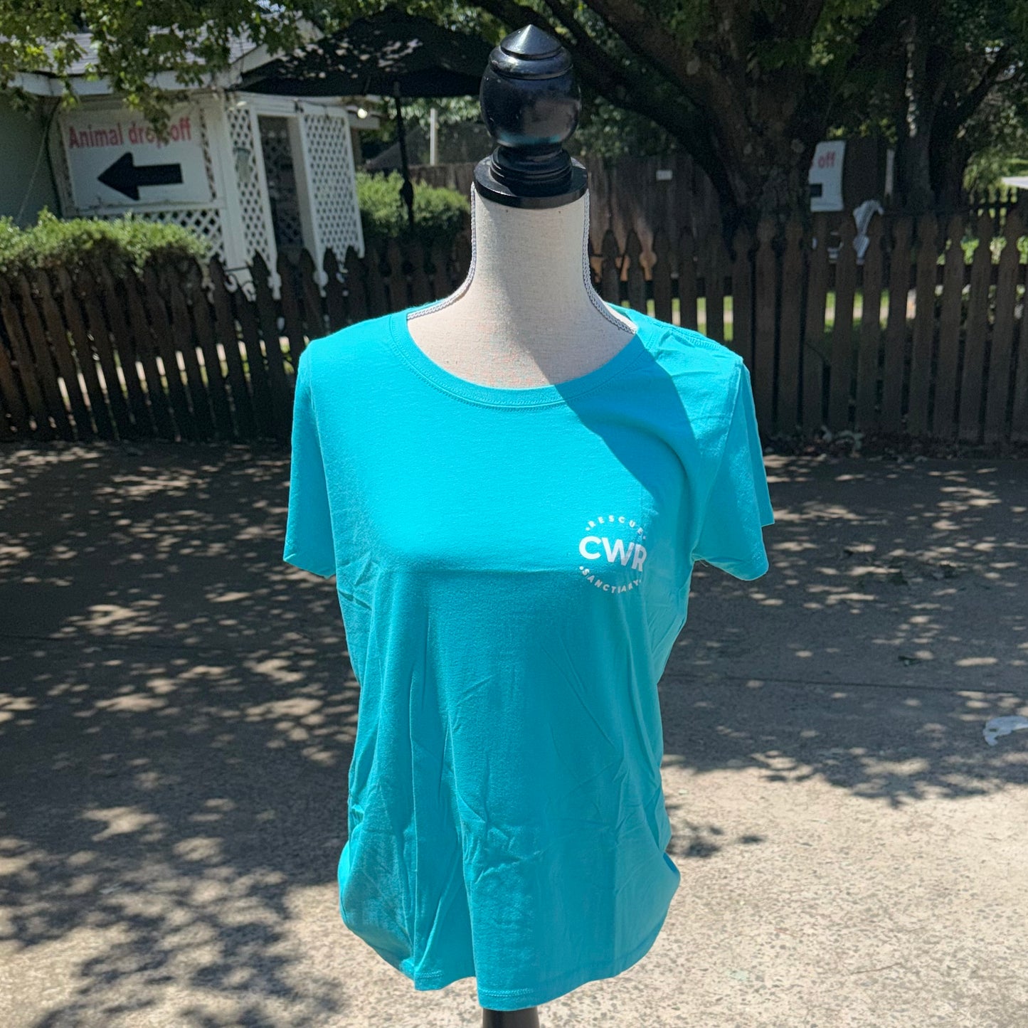 CWR Ladies T-Shirt (Teal)