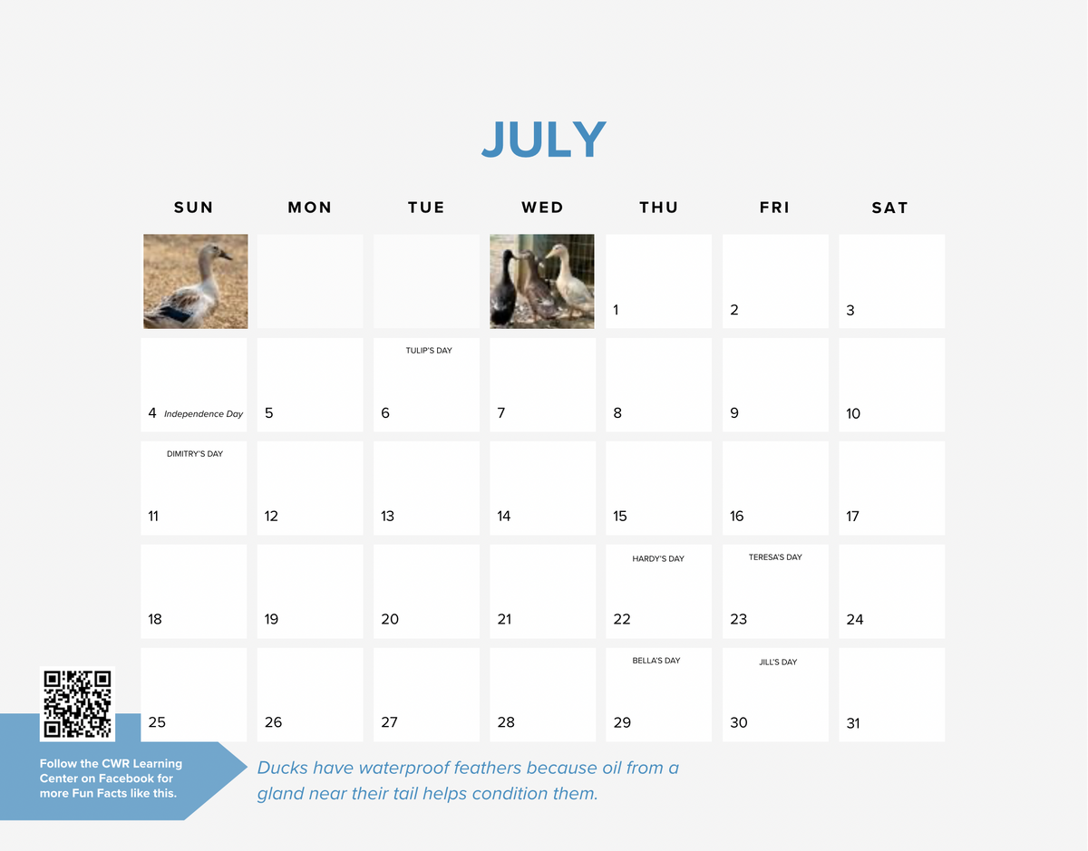 2027 CWR Calendar (PRESALE)