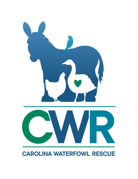 CWR Logo Temporary Tattoo