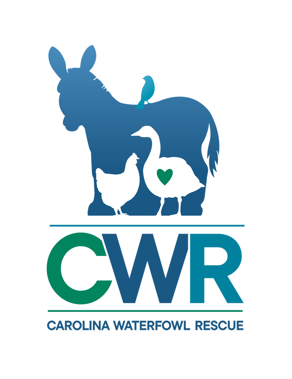 Carolina Waterfowl Rescue and Sanctuary 