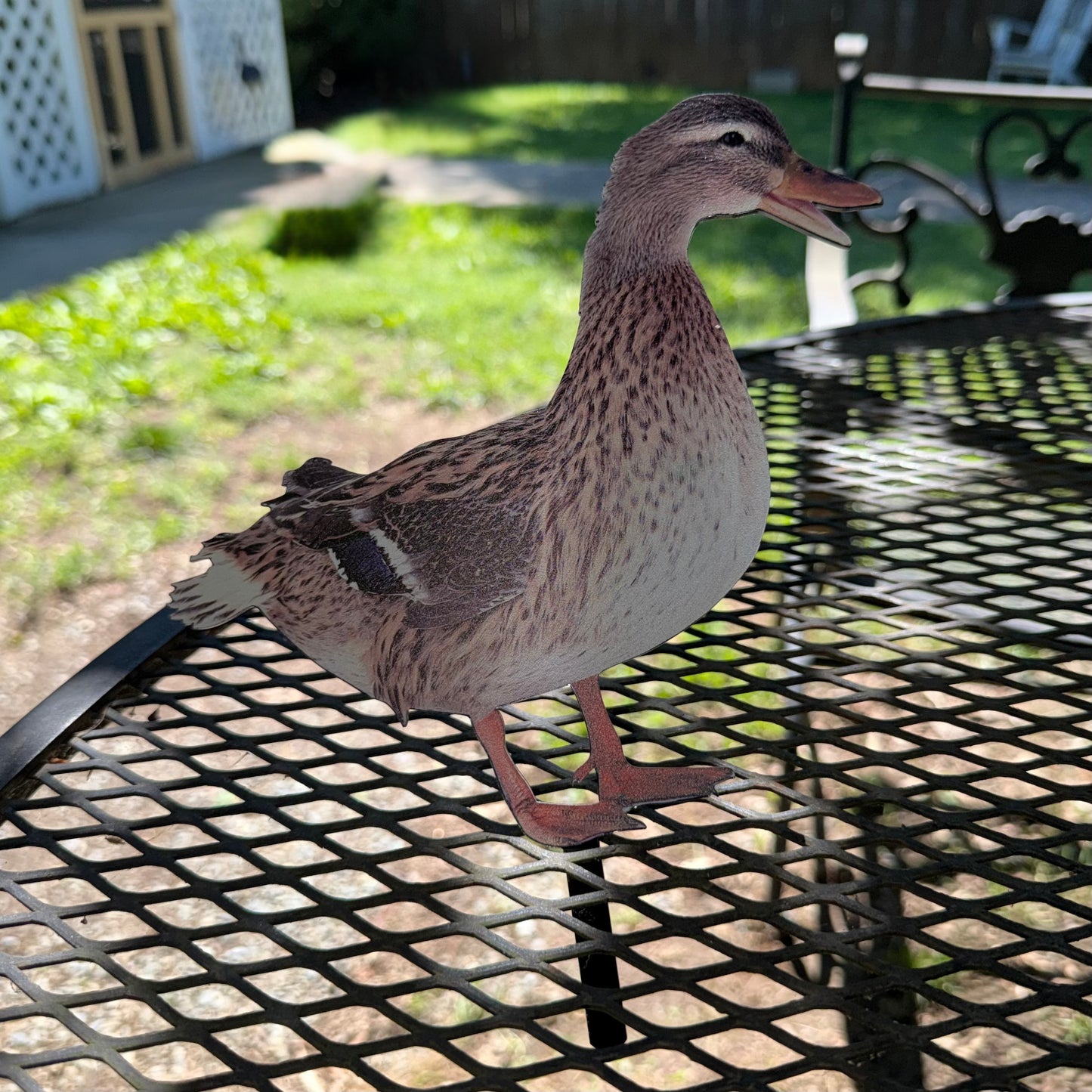 Mallard Duck Garden Stake (Female, Mouth Open)