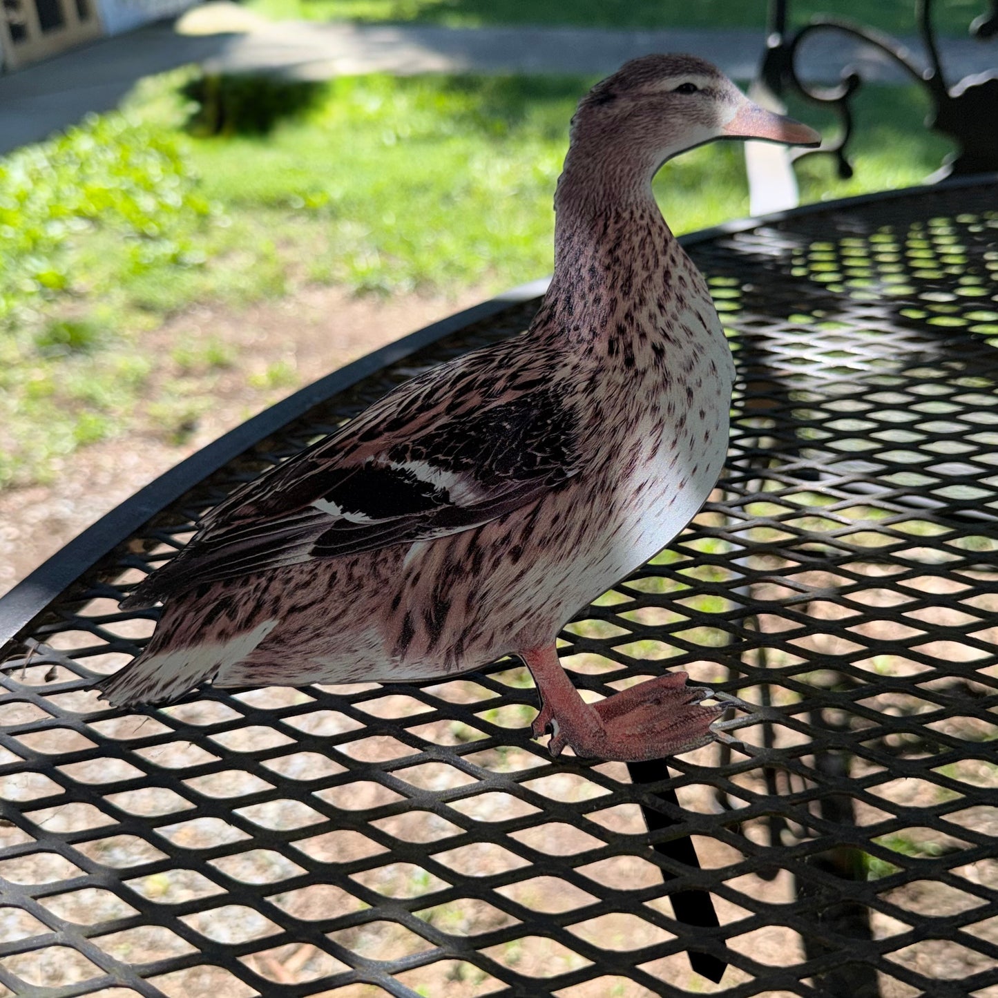 Mallard Duck Garden Stake (Female, Mouth Closed)