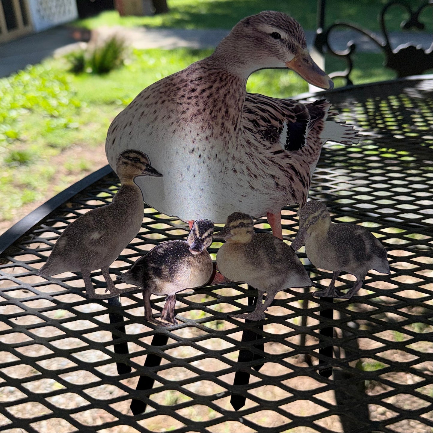 Mallard Duck with Duckings Garden Stakes (Female)