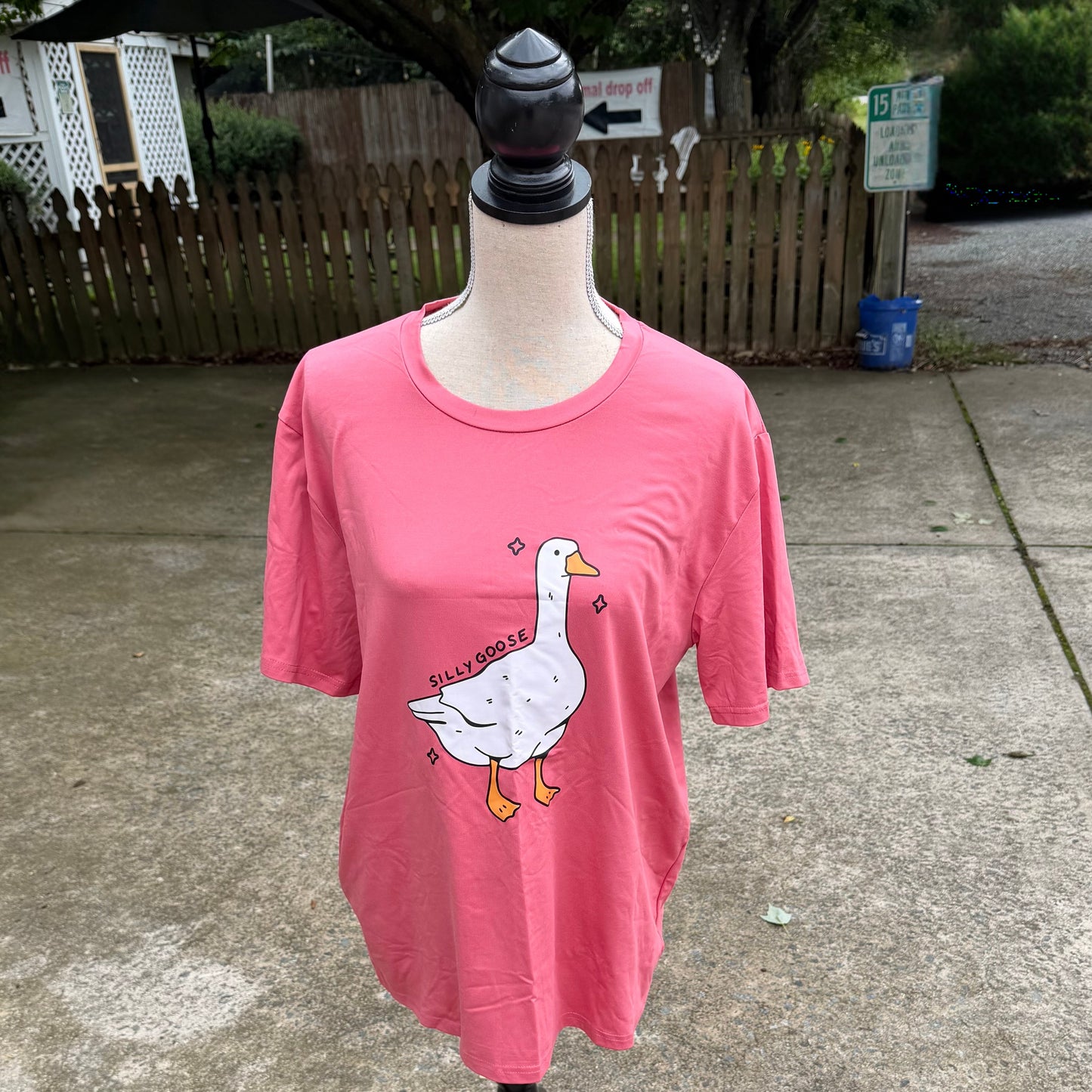 “Silly Goose” T-Shirt (Pink)