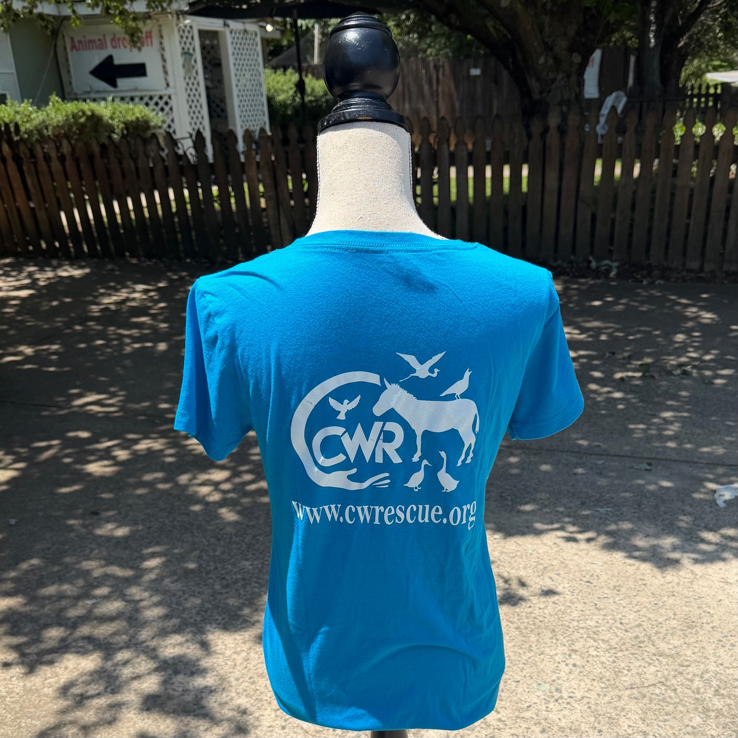 CWR Ladies T-Shirt (Turquoise)