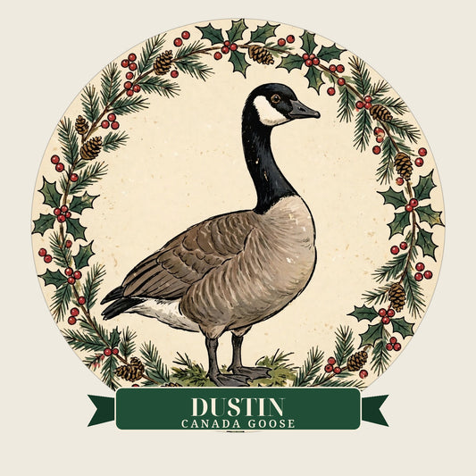 Dustin Ornament