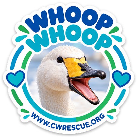 Whoop Whoop sticker
