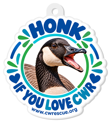 Honk If You Love CWR goose keychain