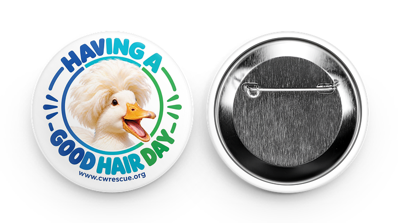 Having a Good Hair Day duck button