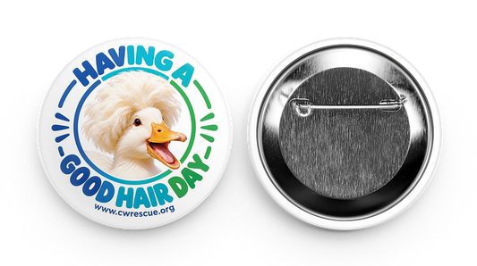 Having a Good Hair Day duck button