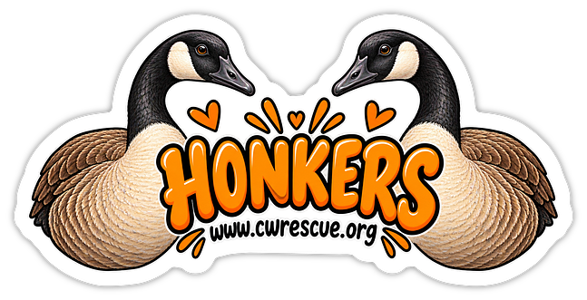 Honkers sticker
