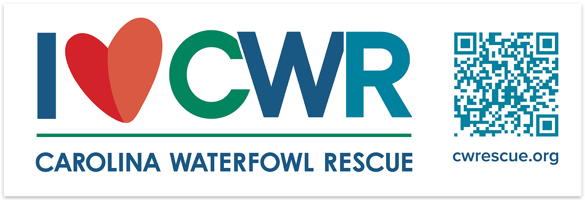I Love CWR car magnet