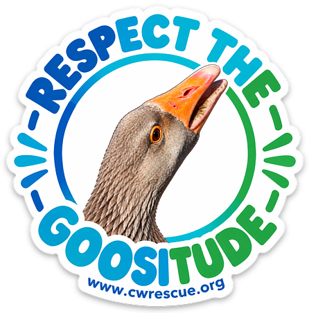 Respect the Goositude sticker