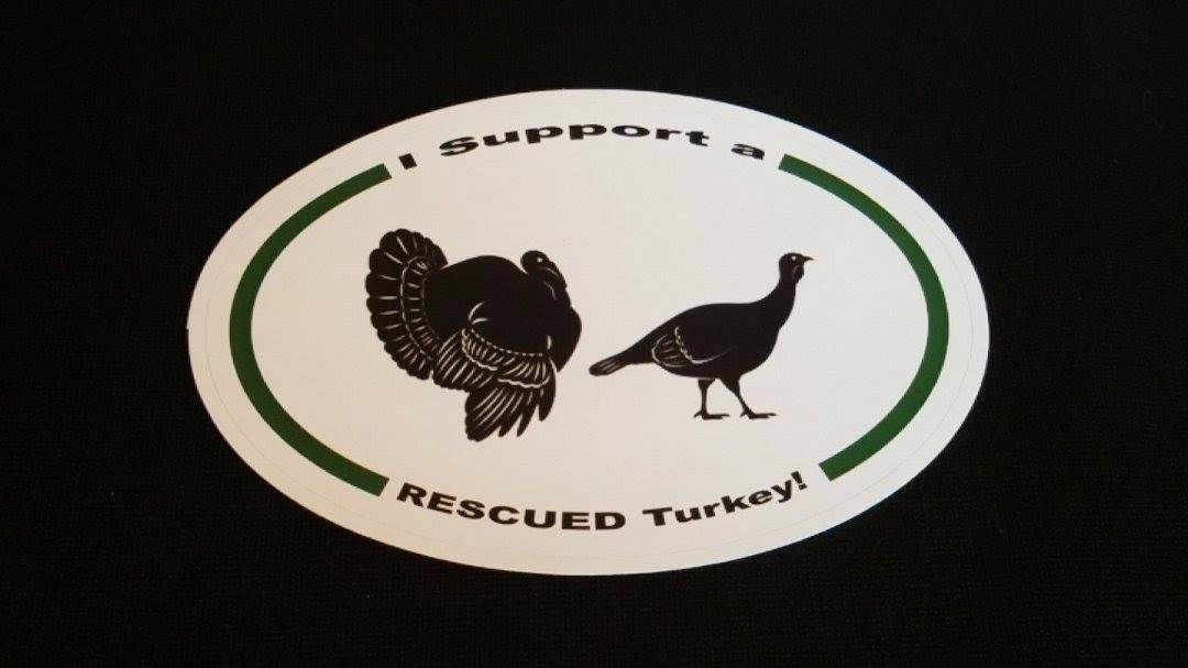 I support a rescued turkey