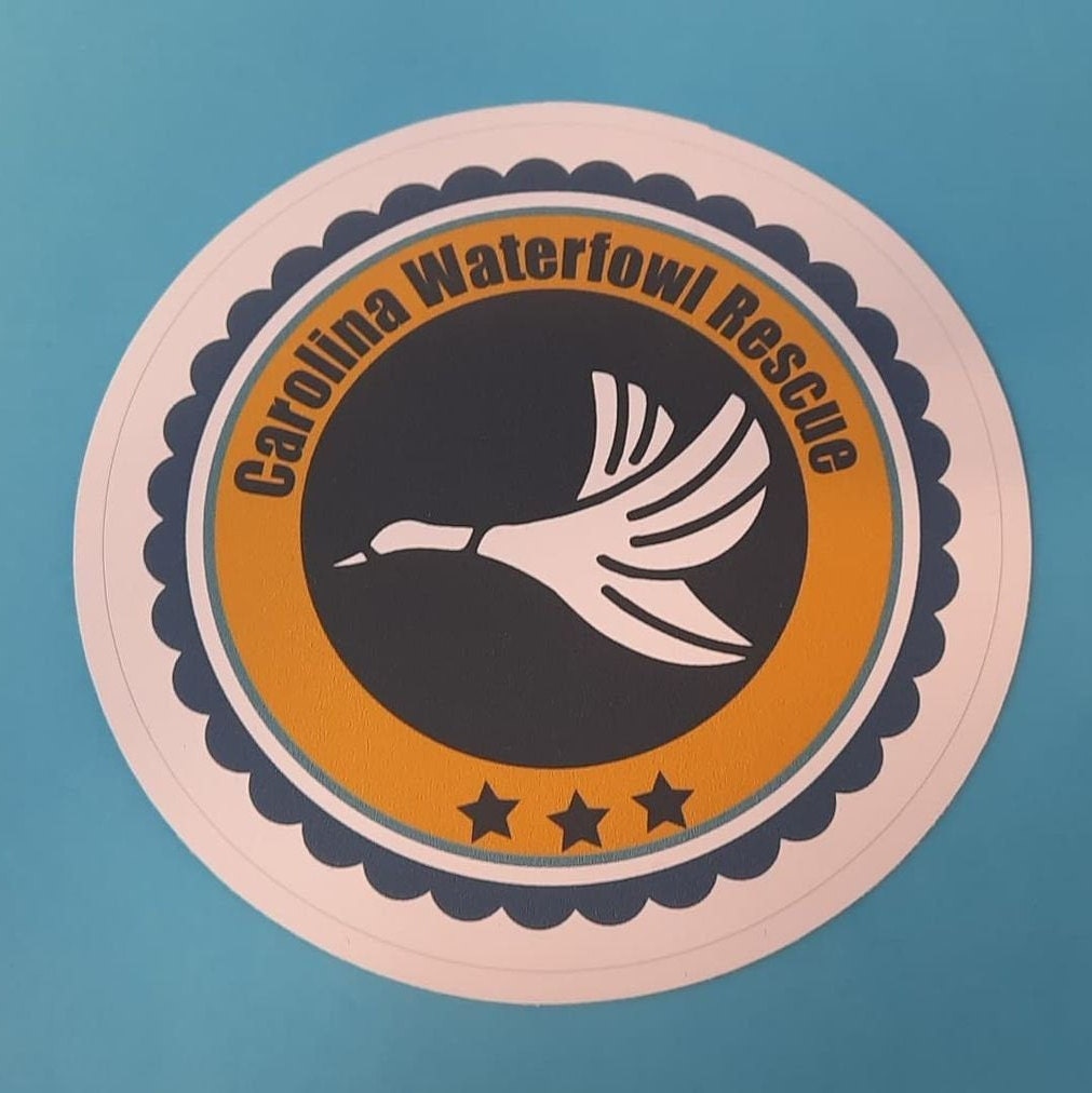 CWR Variety Sticker Collection part 2