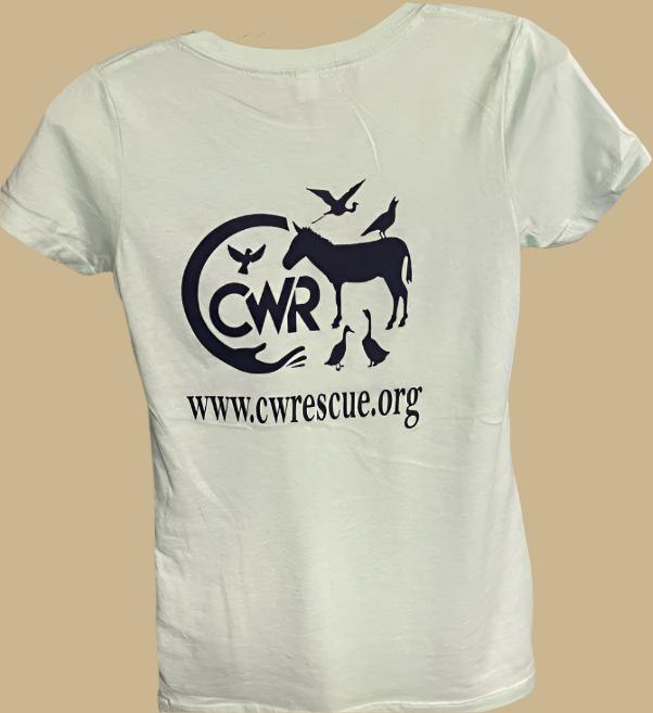 CWR Woman's Slim Fit T-Shirt